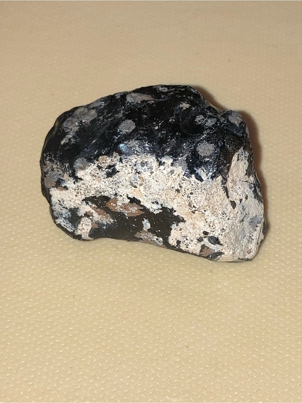 Natural Snowflake Obsidian Black and White Decorative Stone Accent